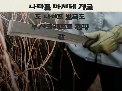 베어본즈 재패니즈 나타툴 마체테 사용 관련 이미지